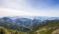 法甲足球比分直播-法甲足球比分直播，绿茵烽火实时燃，球迷激情永相伴