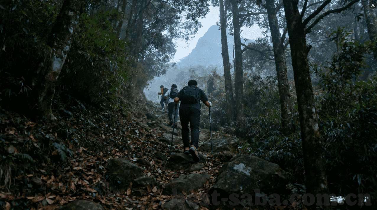 世界杯投注 官方网-世界杯投注官方网，安全、便捷与透明的足球盛宴
