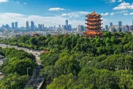 一分钱底炸金花 热门-一分钱底炸金花，热门背后的娱乐与博弈